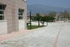 img_1120_t1.jpg